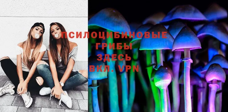 Галлюциногенные грибы MAGIC MUSHROOMS  Лосино-Петровский 